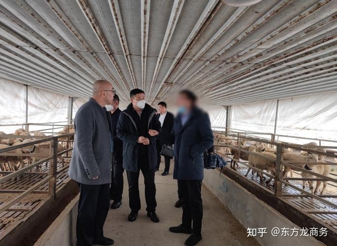 新疆某地方政府与肉羊养殖加工产业项目成功签订投资协议 - 